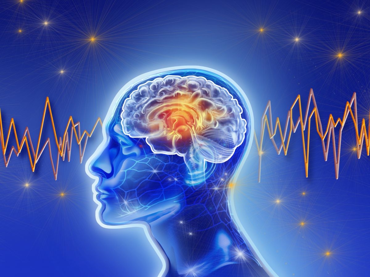 Why Does Your Mind Goes blank New Brain Scans Reveal The Surprising Answer Live Science